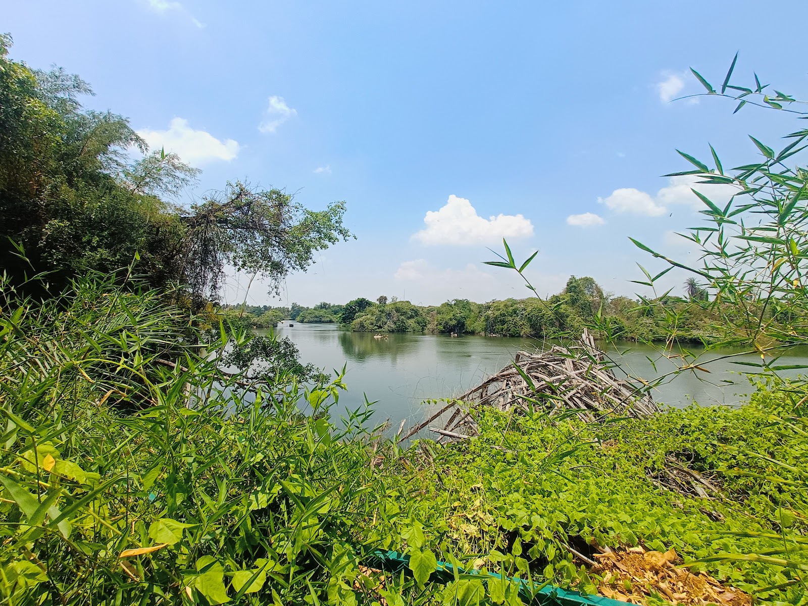 Ranganathittu Bird Sanctuary