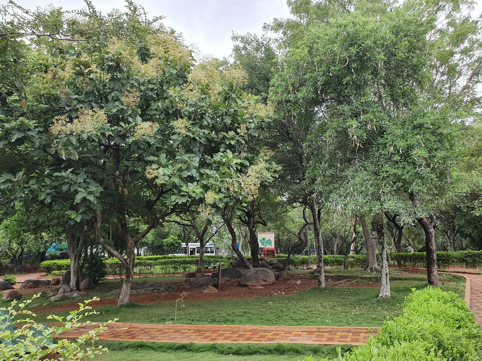 Mrugavani National Park