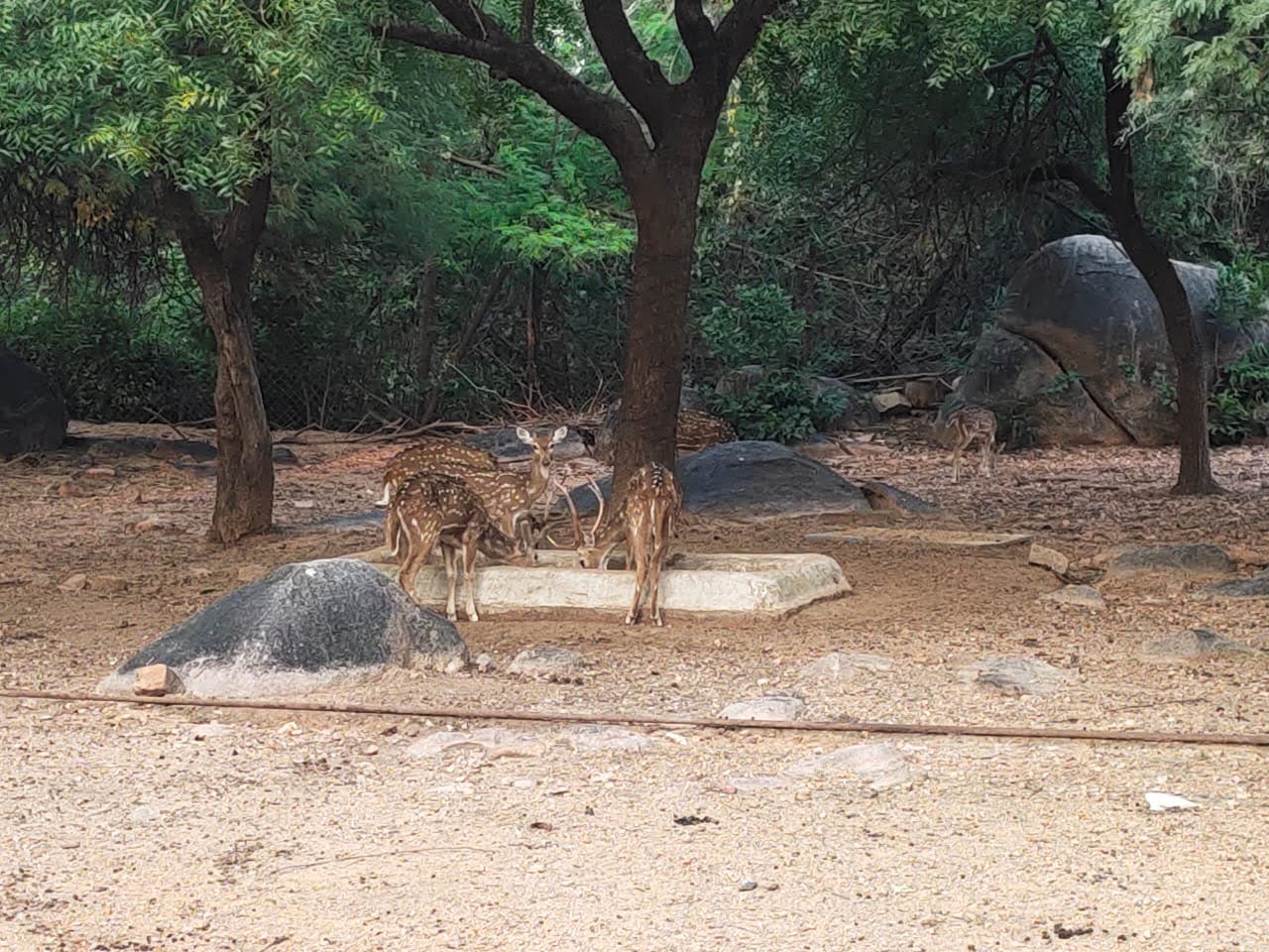 Mrugavani National Park