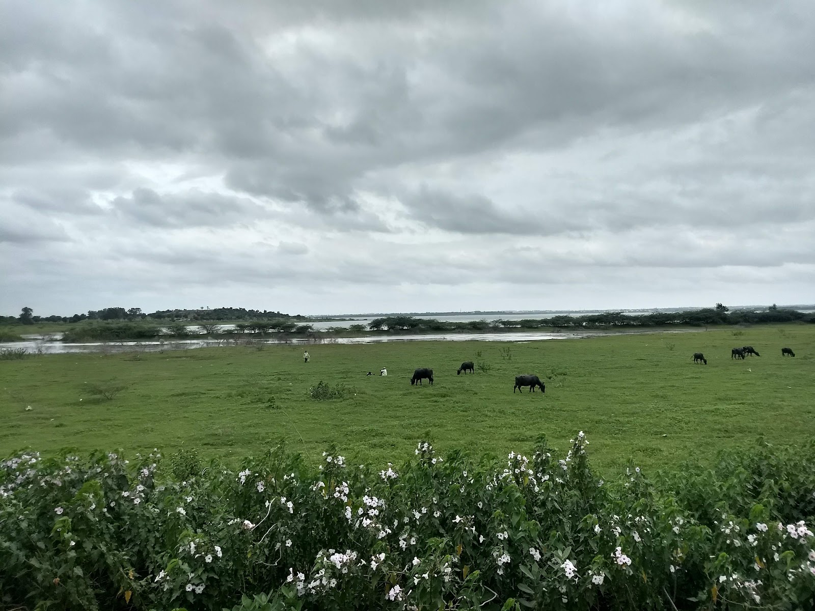 Osman Sagar Gandipet Lake