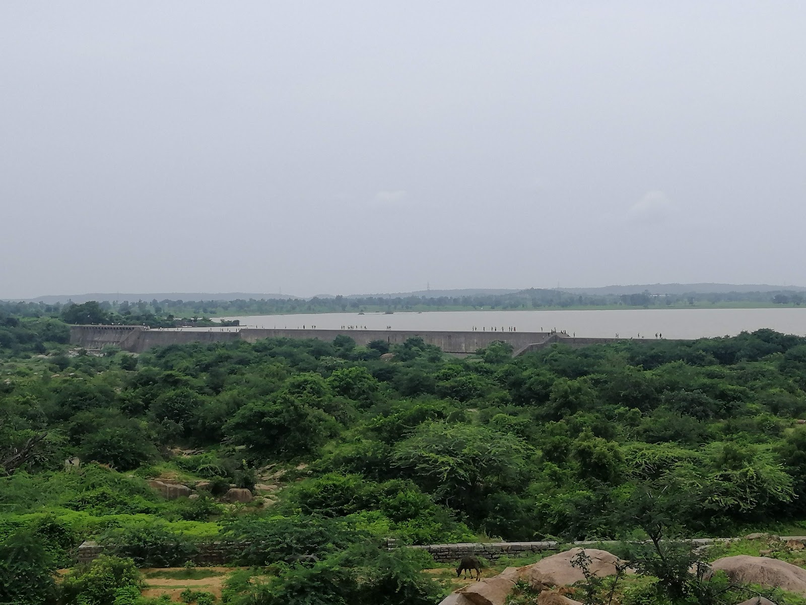 Pocharam Wildlife Sanctuary