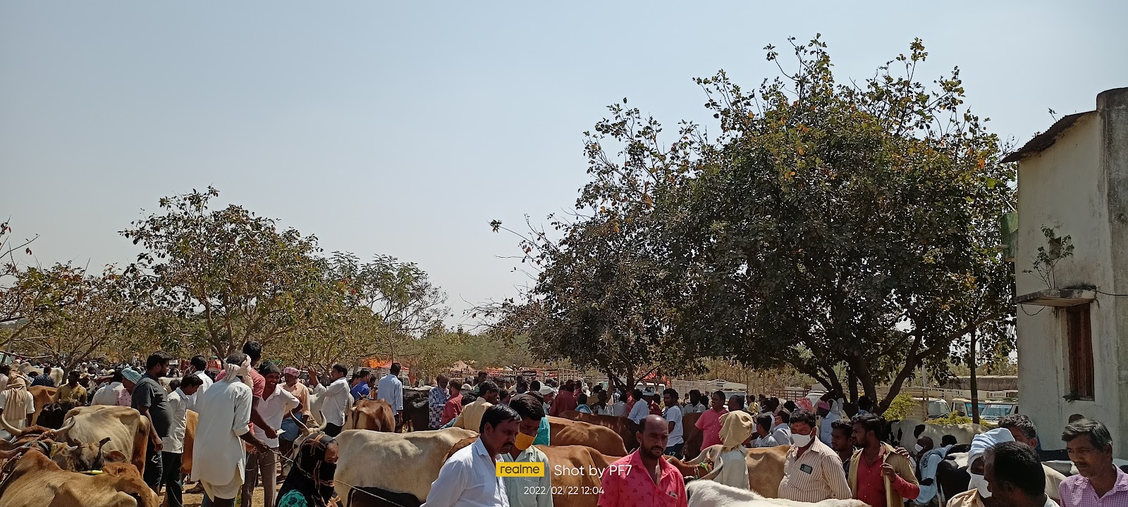 Weekend Farmers Market Shadnagar