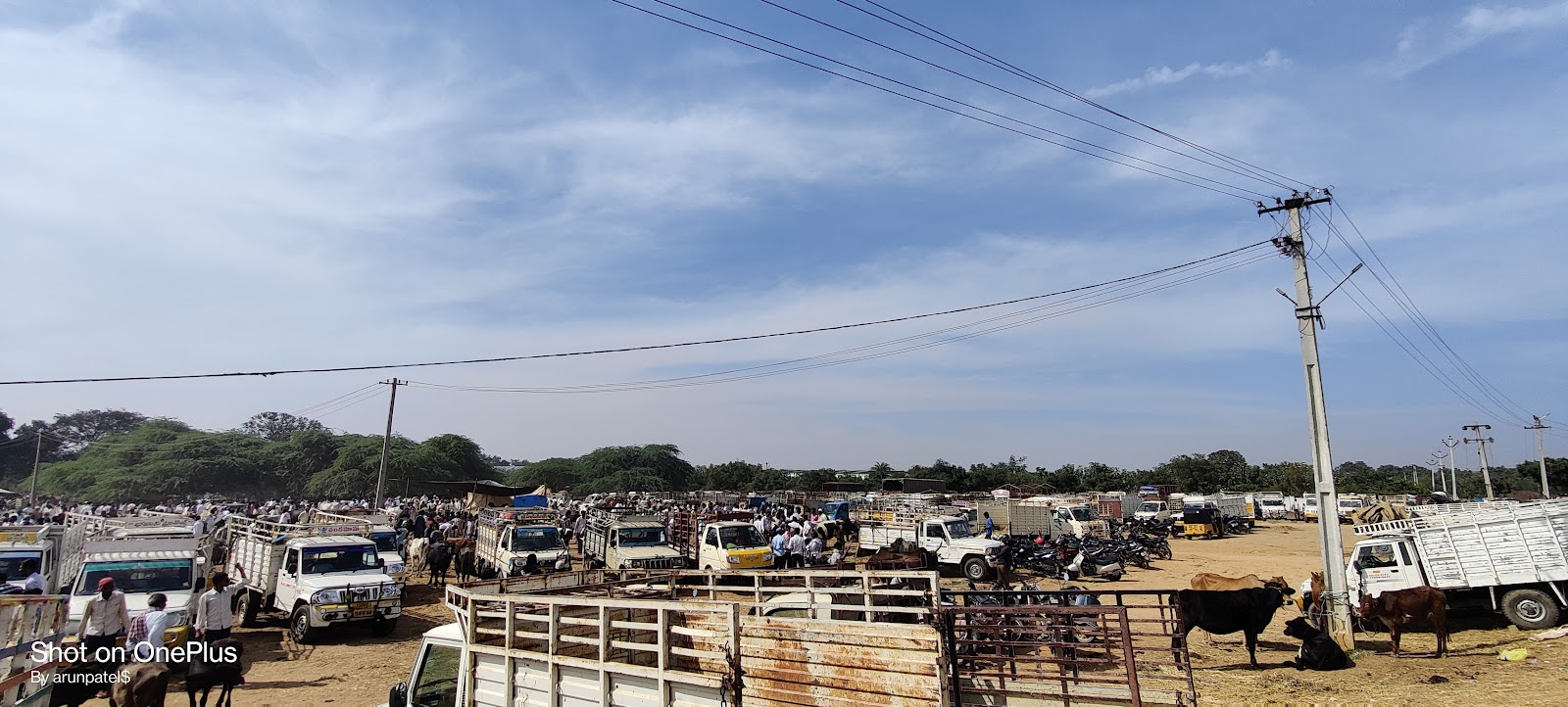 Weekend Farmers Market Shadnagar