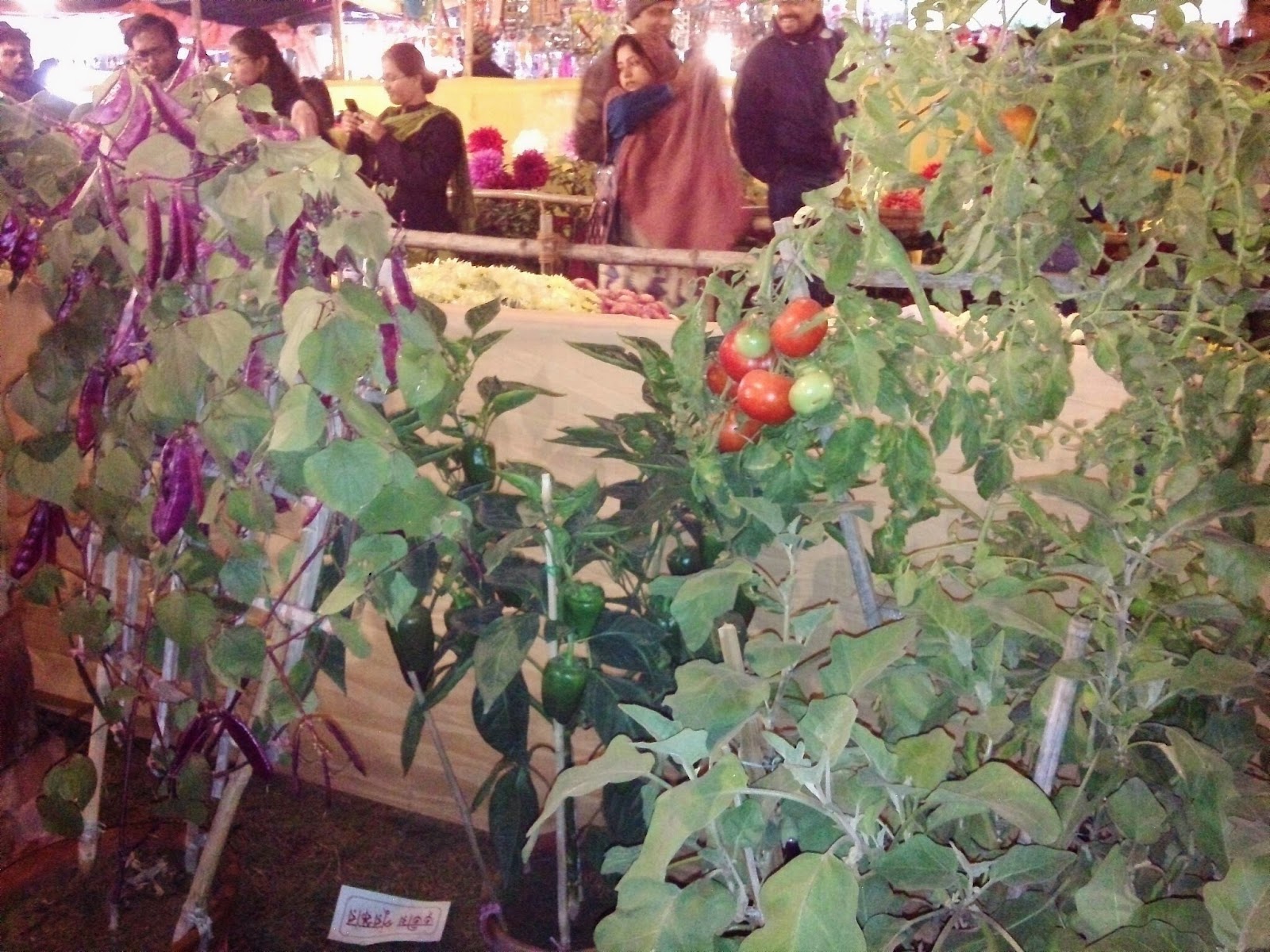 Raniswar Cultural Center