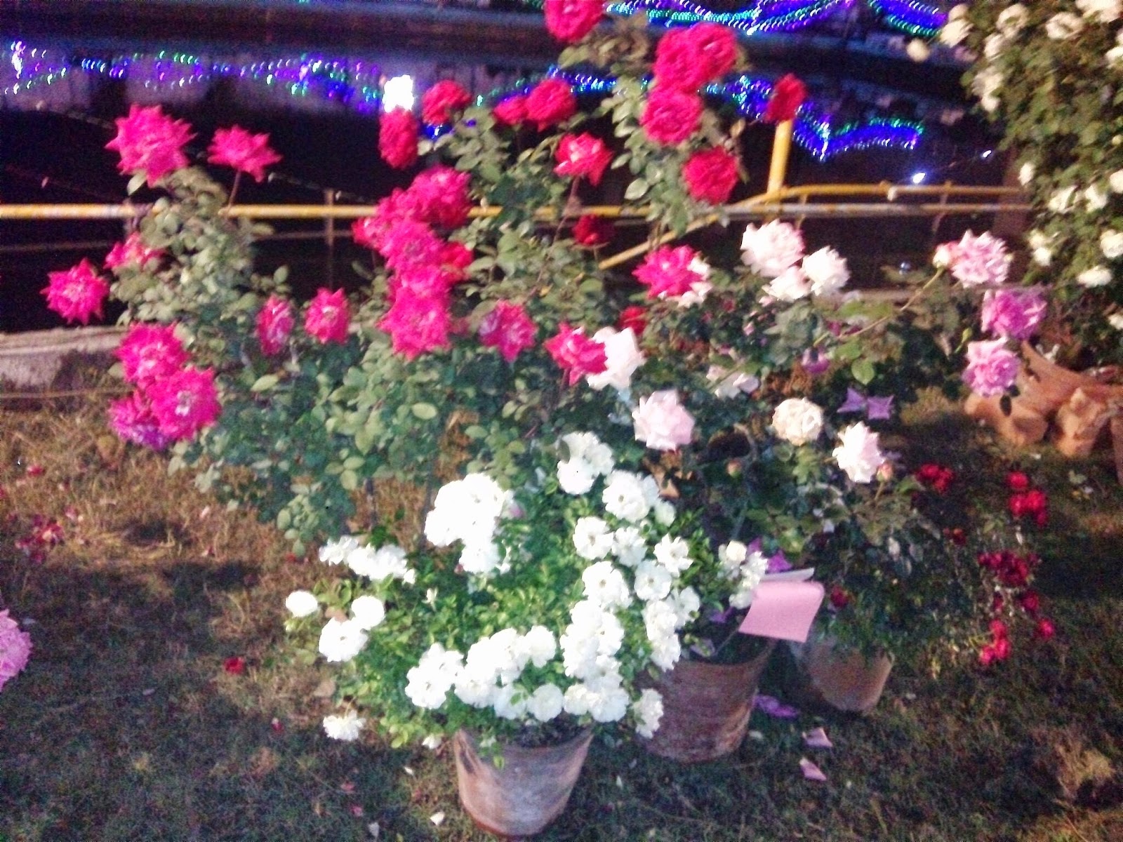 Raniswar Cultural Center