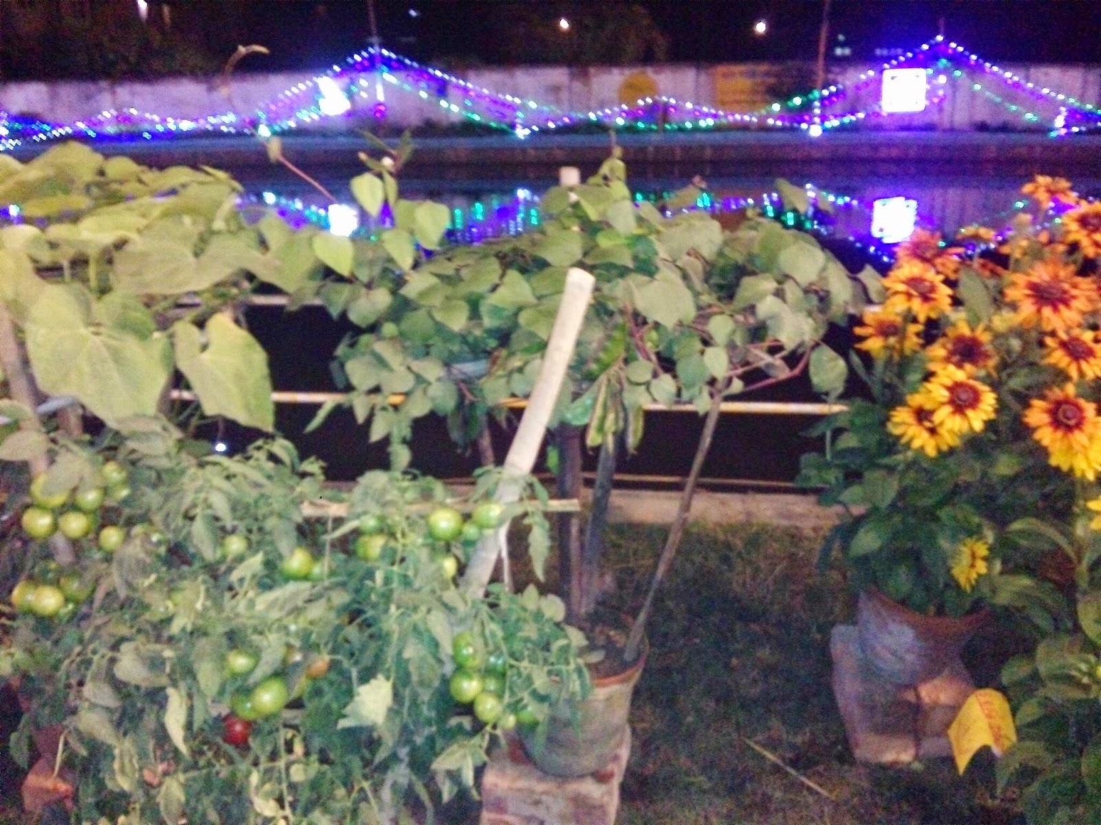 Raniswar Cultural Center