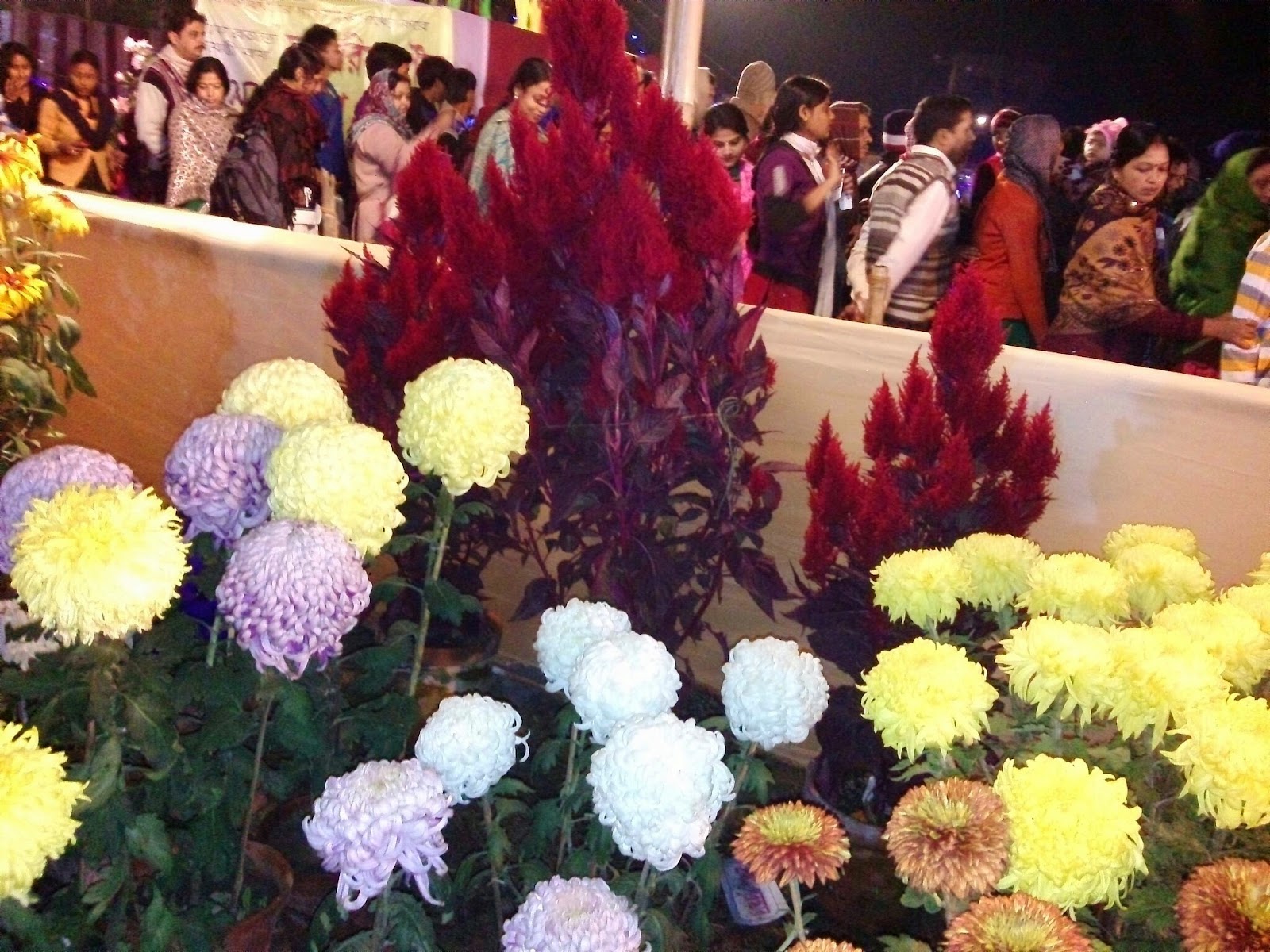 Raniswar Cultural Center