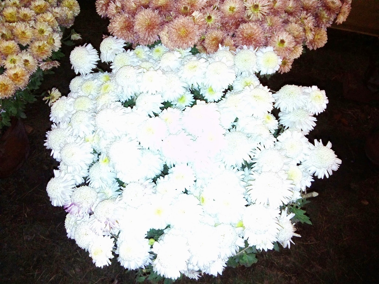 Raniswar Cultural Center