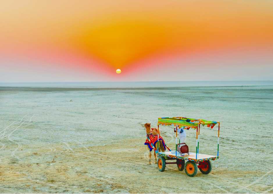Rann of Kutch - A Unique Desert Experience in Gujarat