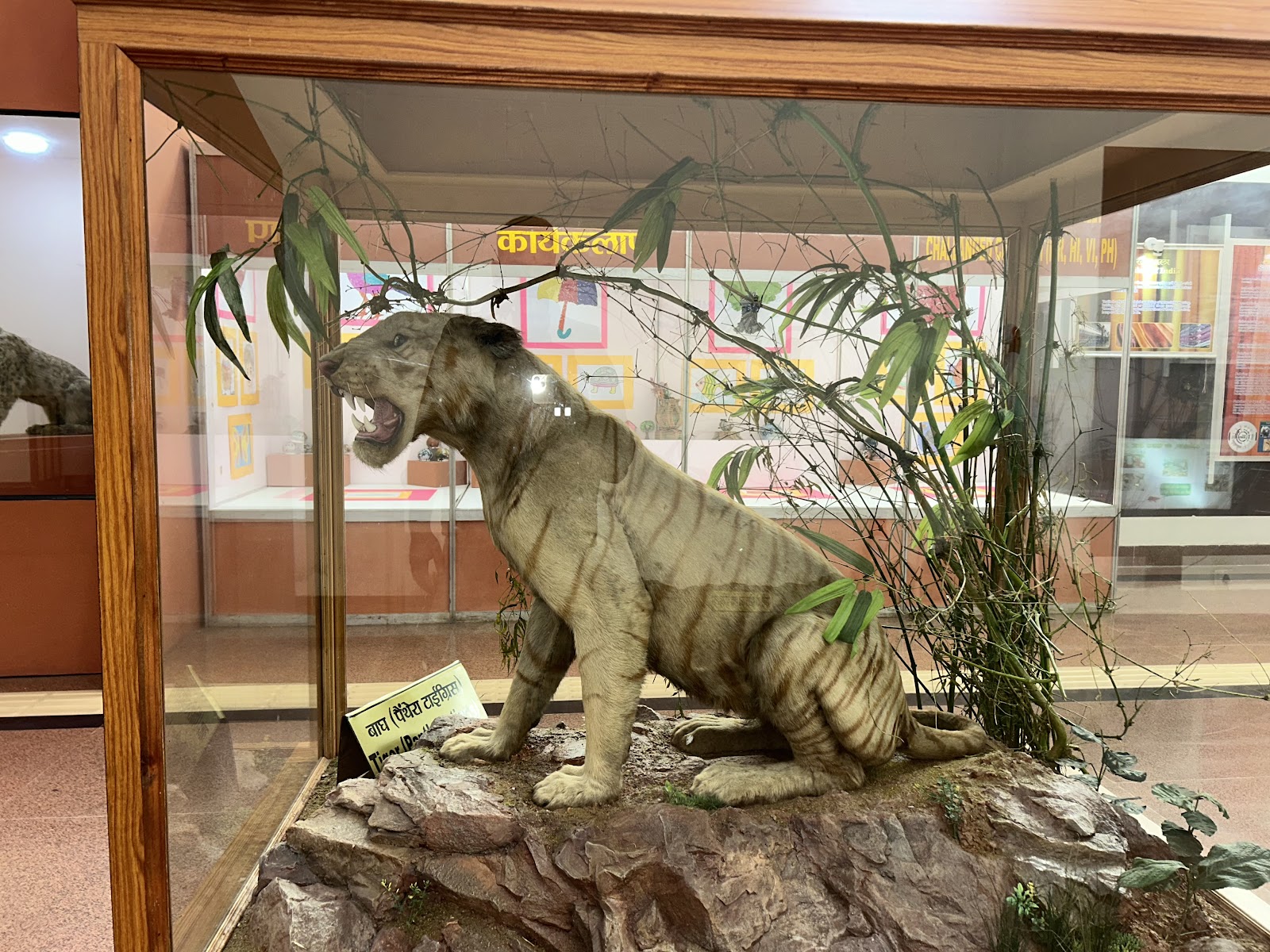 Rajiv Gandhi Regional Museum of Natural History