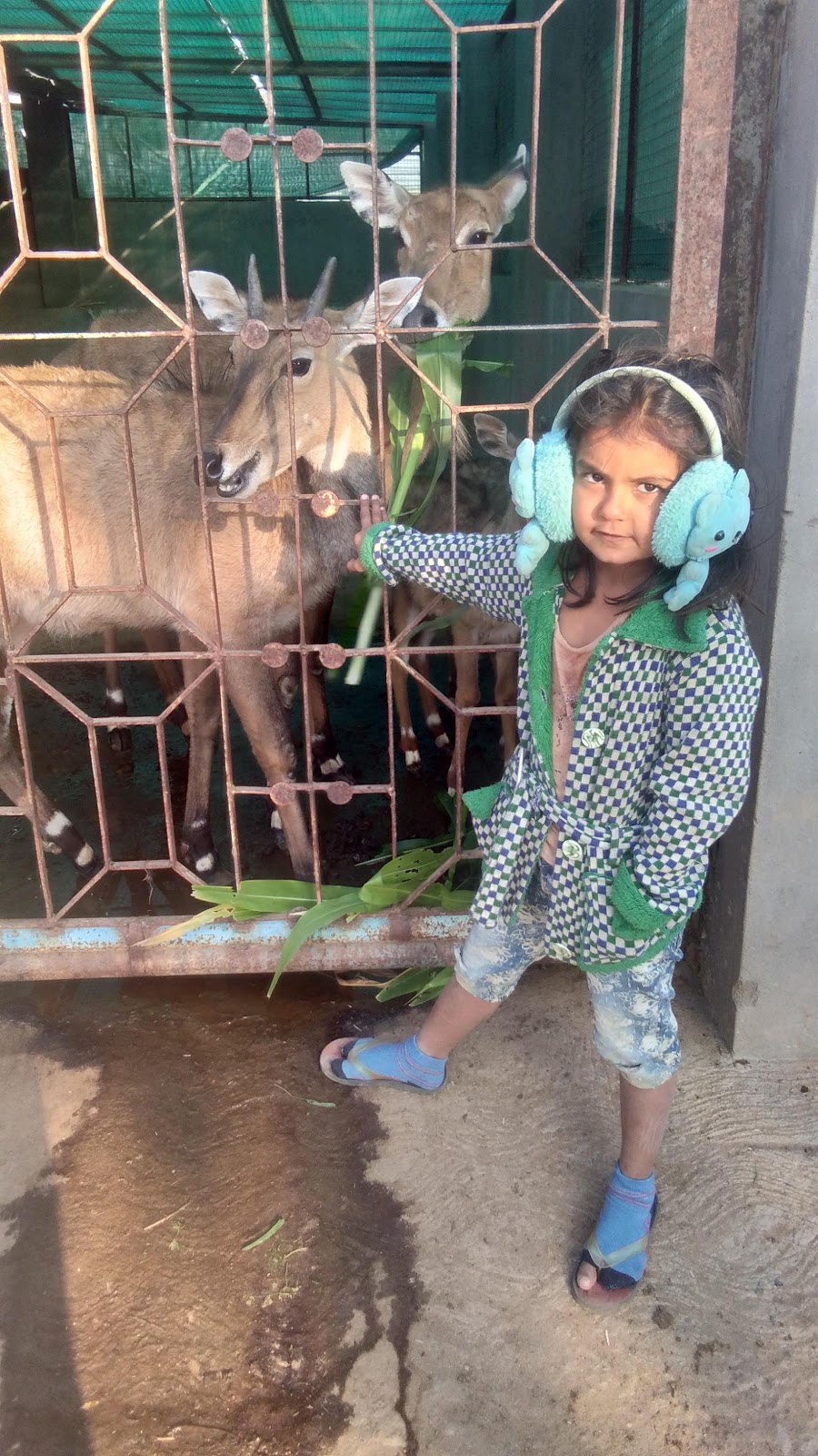 Mataji Temple Complex