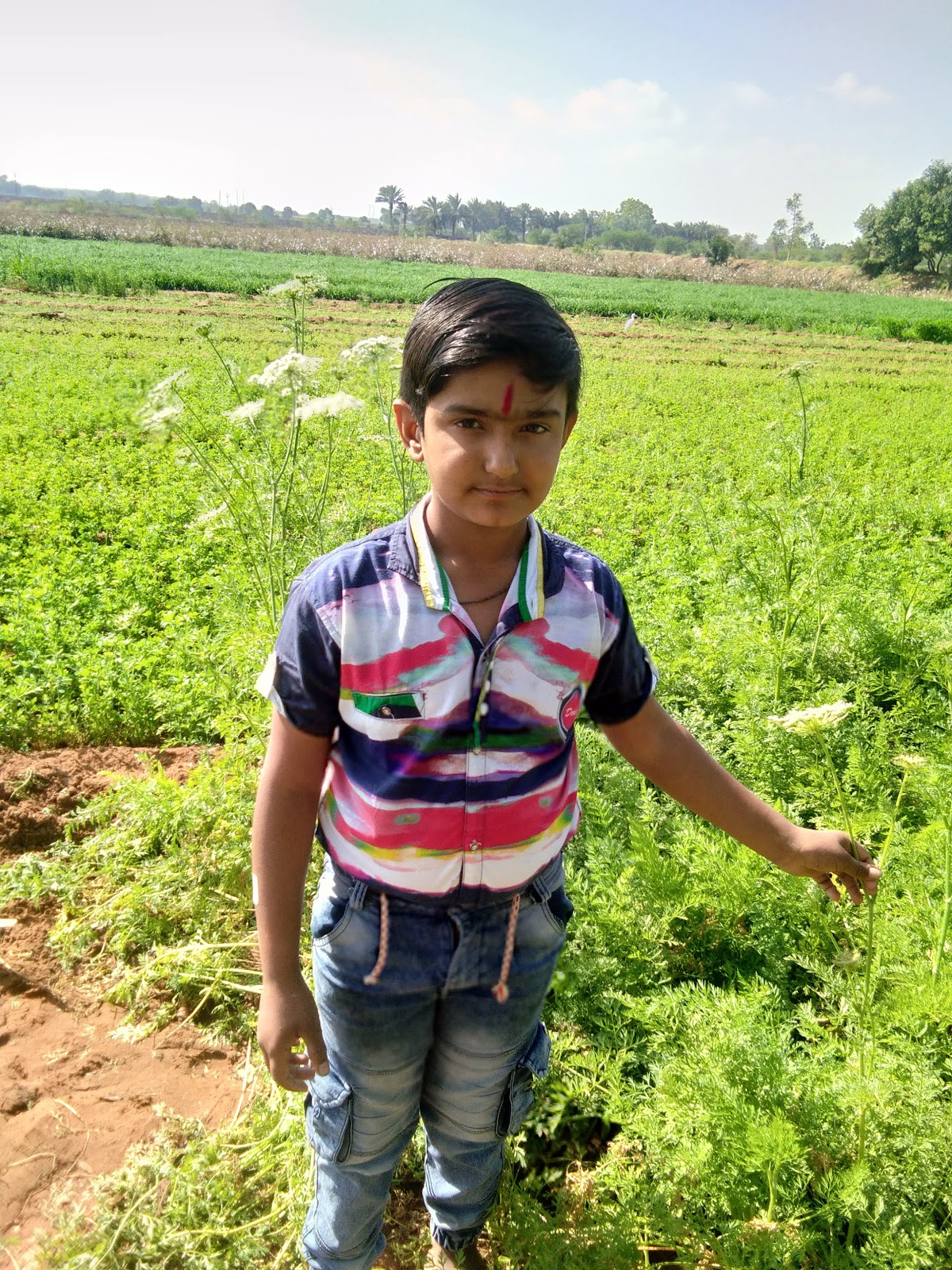 Mataji Temple Complex