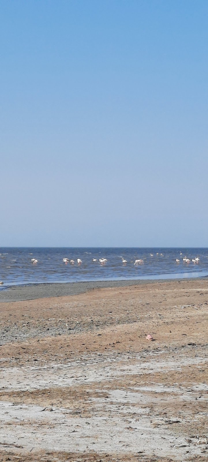 Sunset Viewpoint Near Outskirts