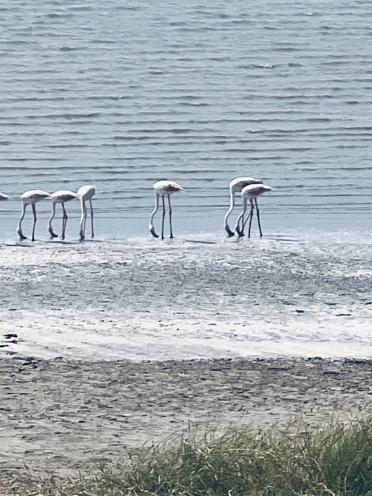 Sunset Viewpoint Near Outskirts