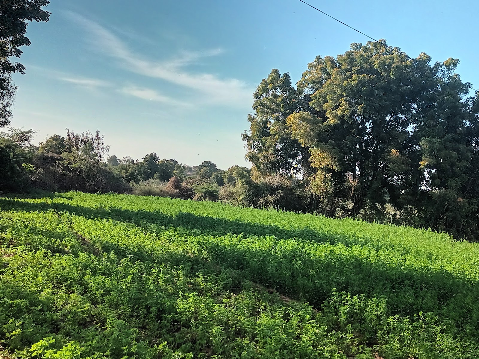 Village Walks Around Rapar