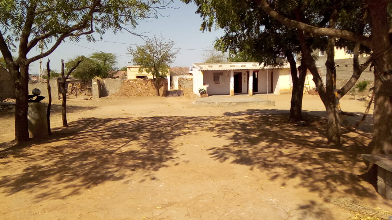 Village Walks Around Rapar