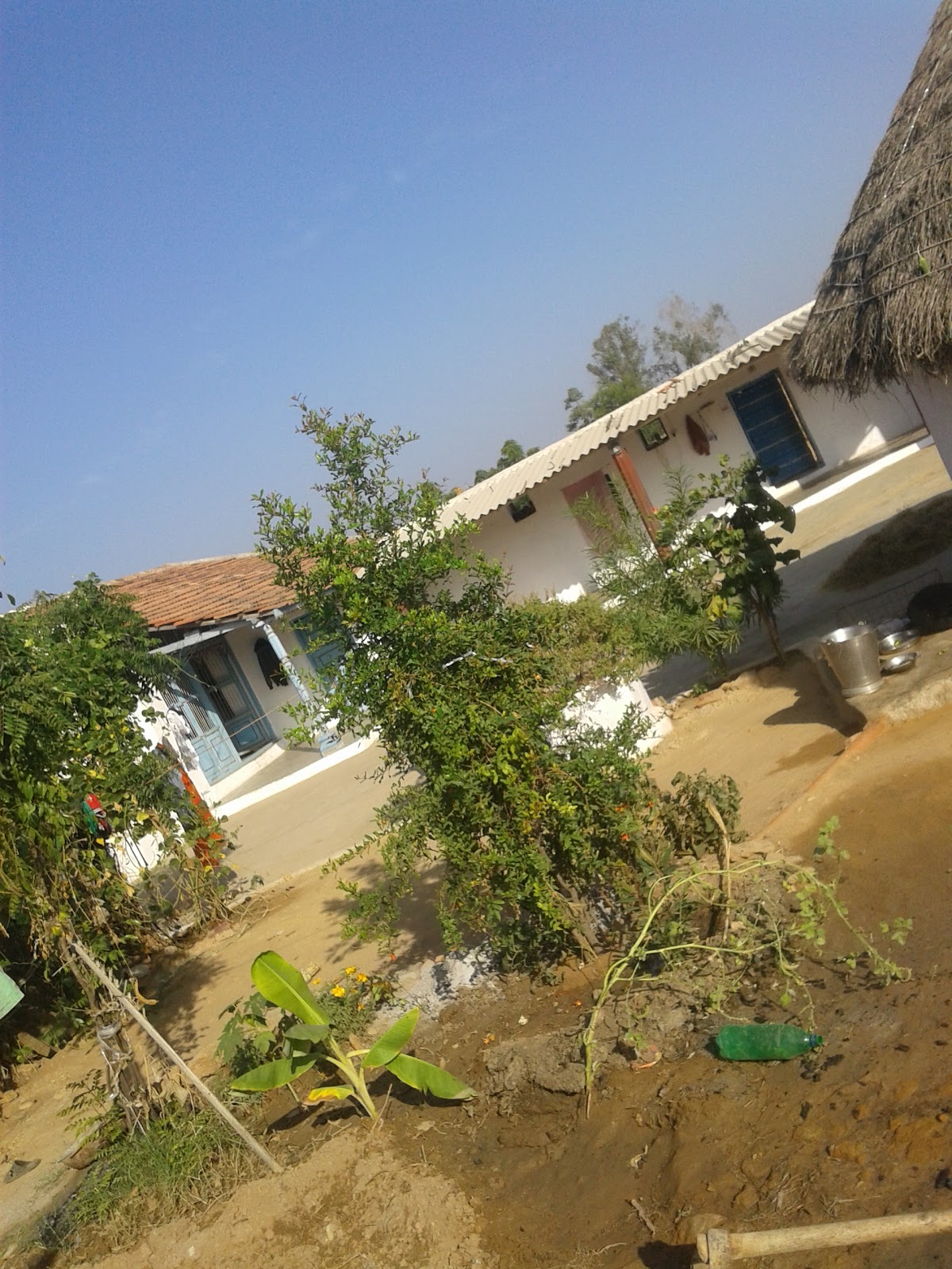 Village Walks Around Rapar