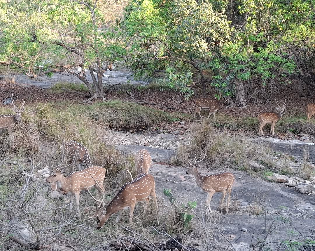 Madhav Rao Scindia Park