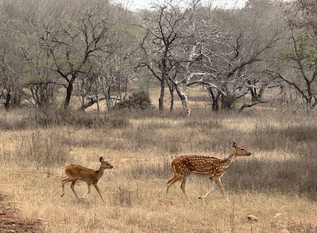 Madhav Rao Scindia Park