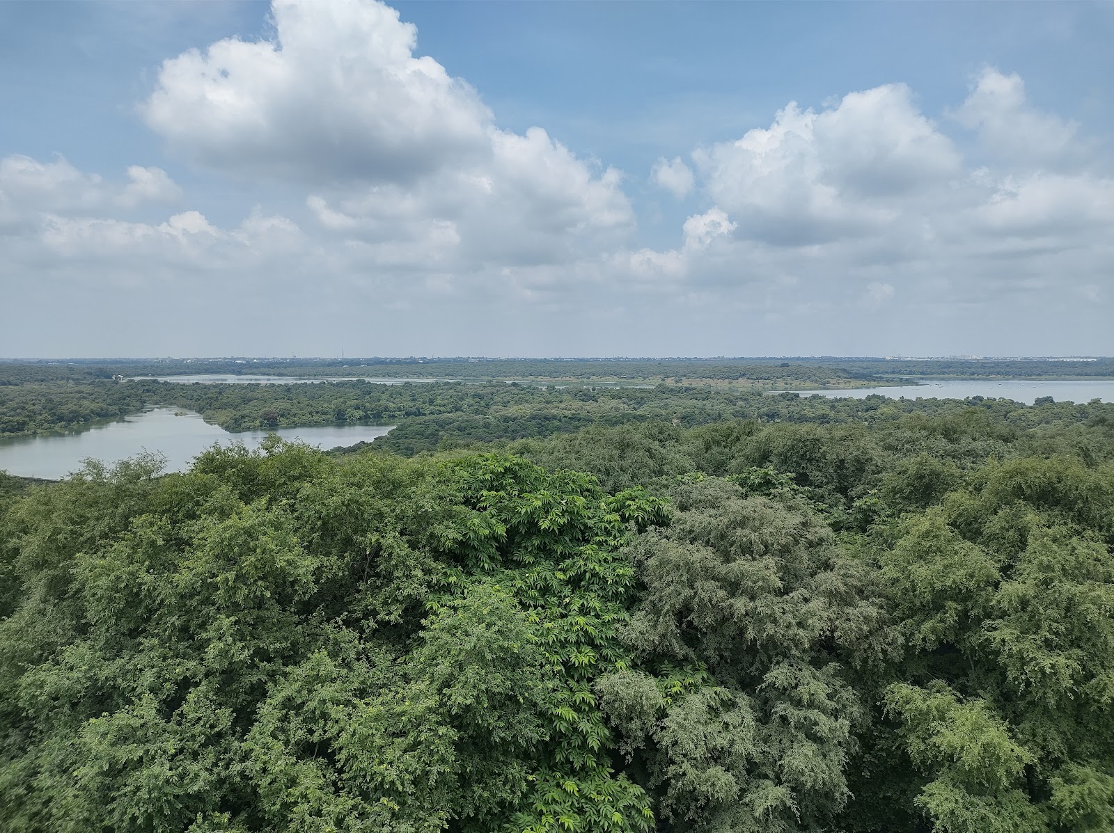 Madhav Rao Scindia Park