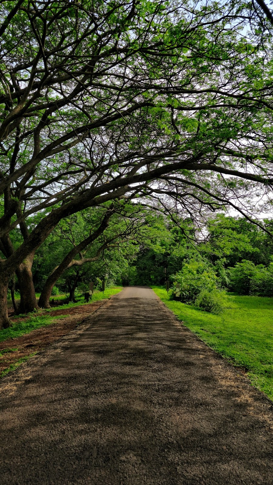 Phansad Wildlife Sanctuary