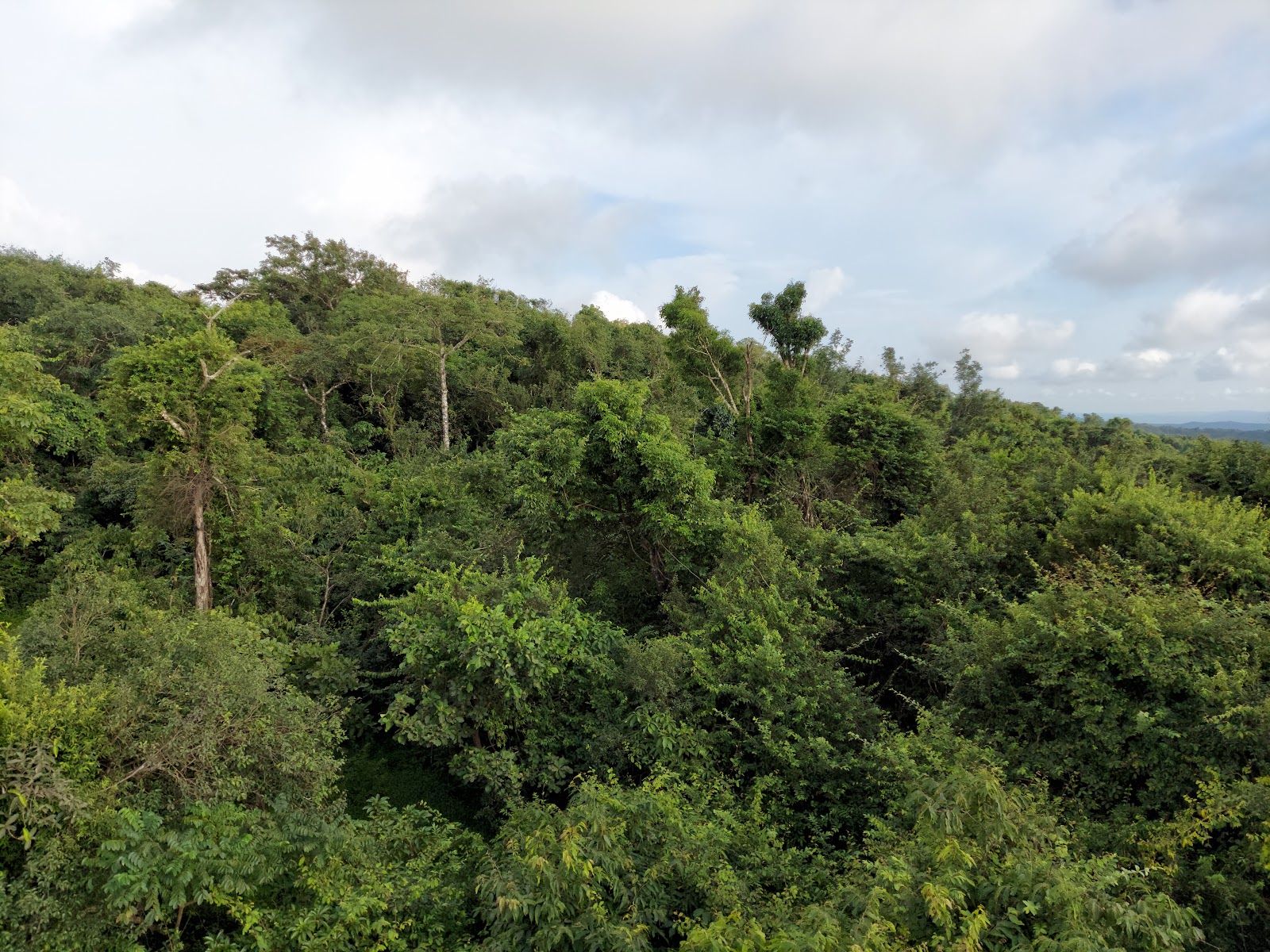 Phansad Wildlife Sanctuary