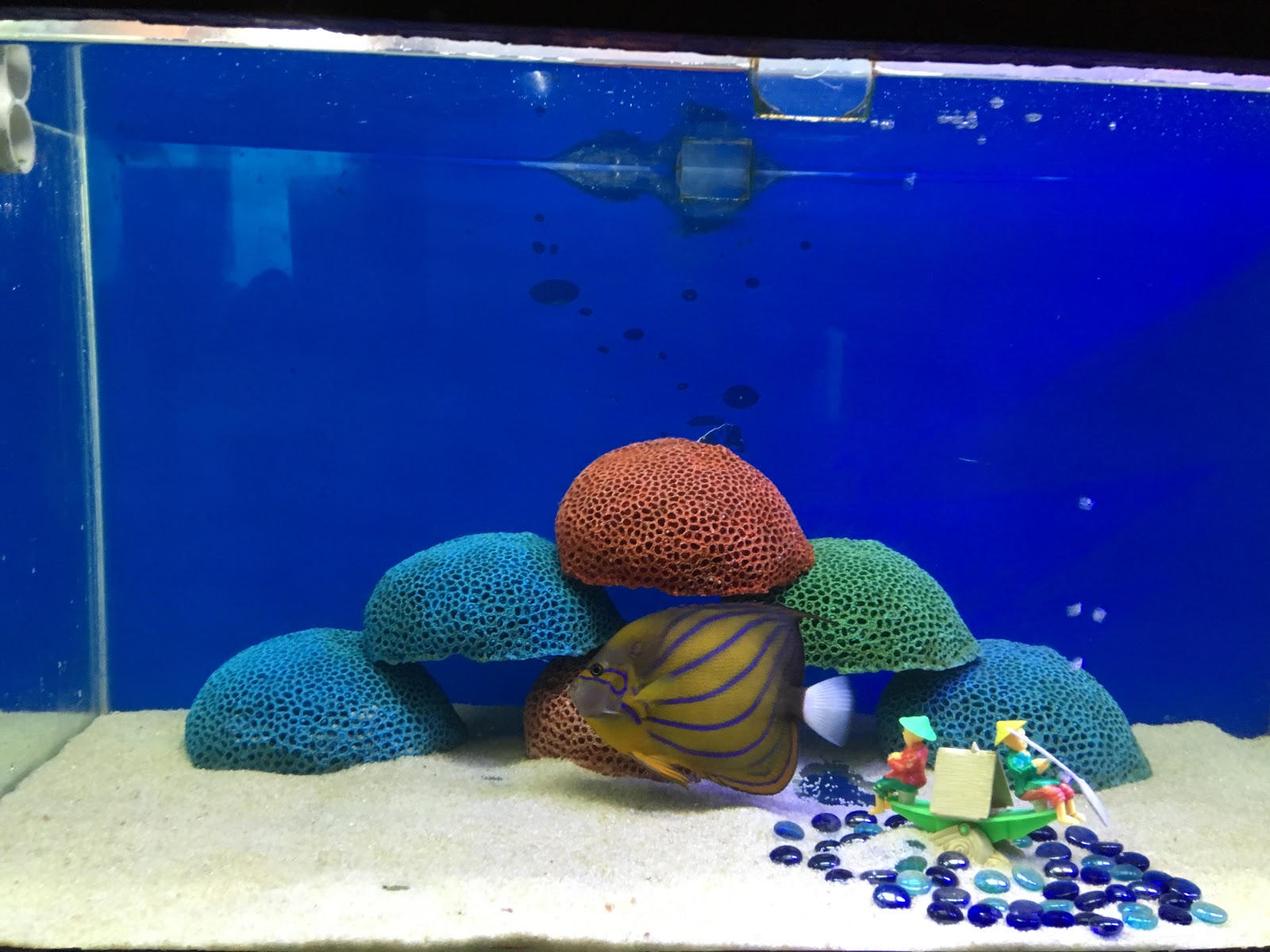 Ratnagiri Marine Museum