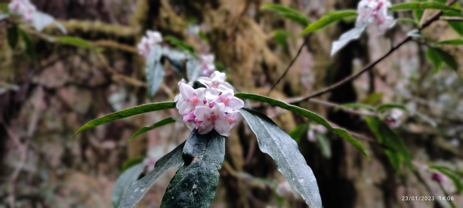 Maenam Wildlife Sanctuary