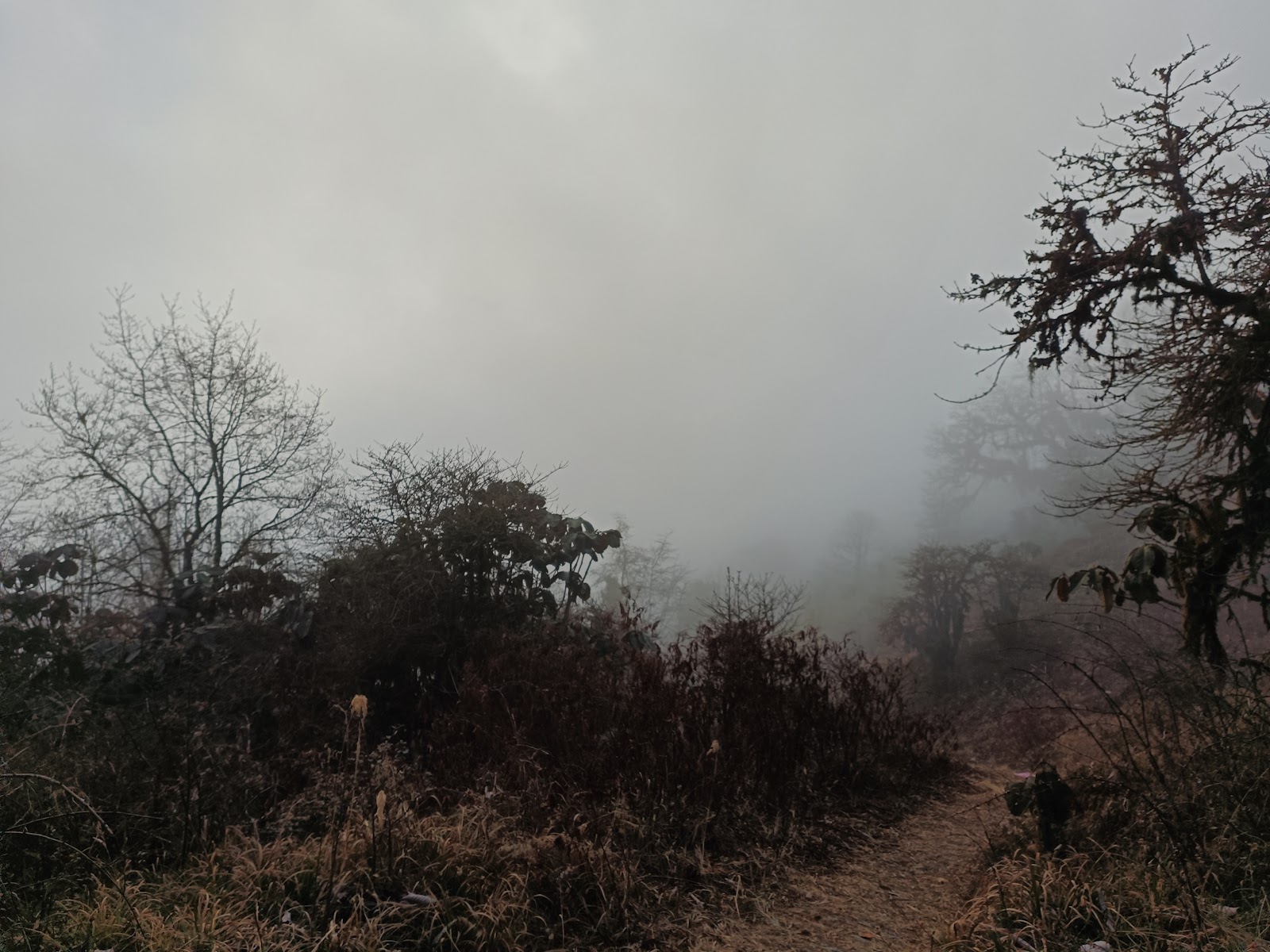 Maenam Wildlife Sanctuary