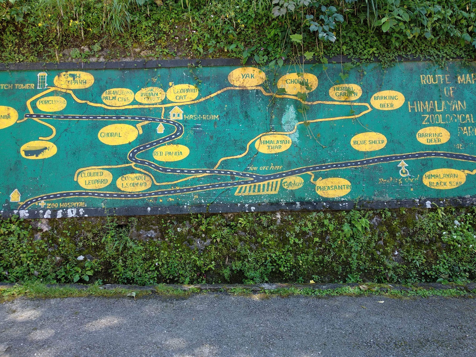 Sikkim Himalayan Zoo