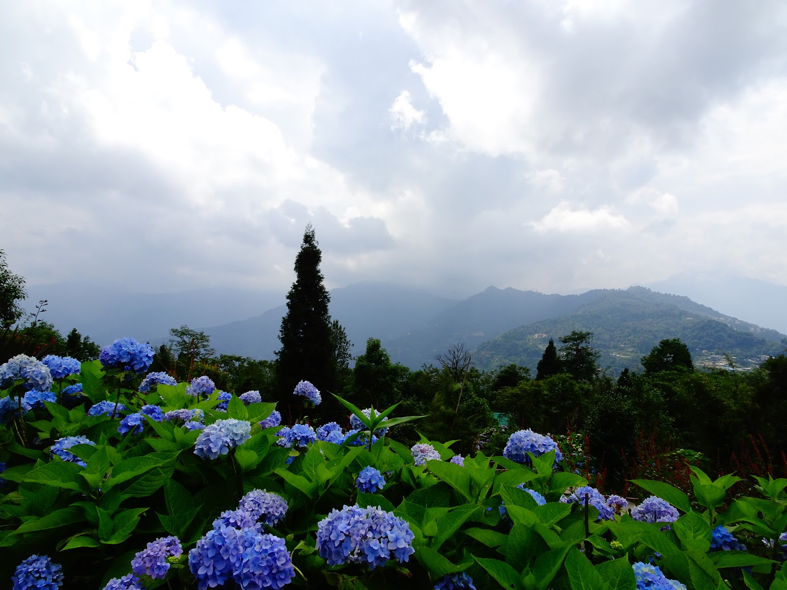 Sikkim Himalayan Zoo