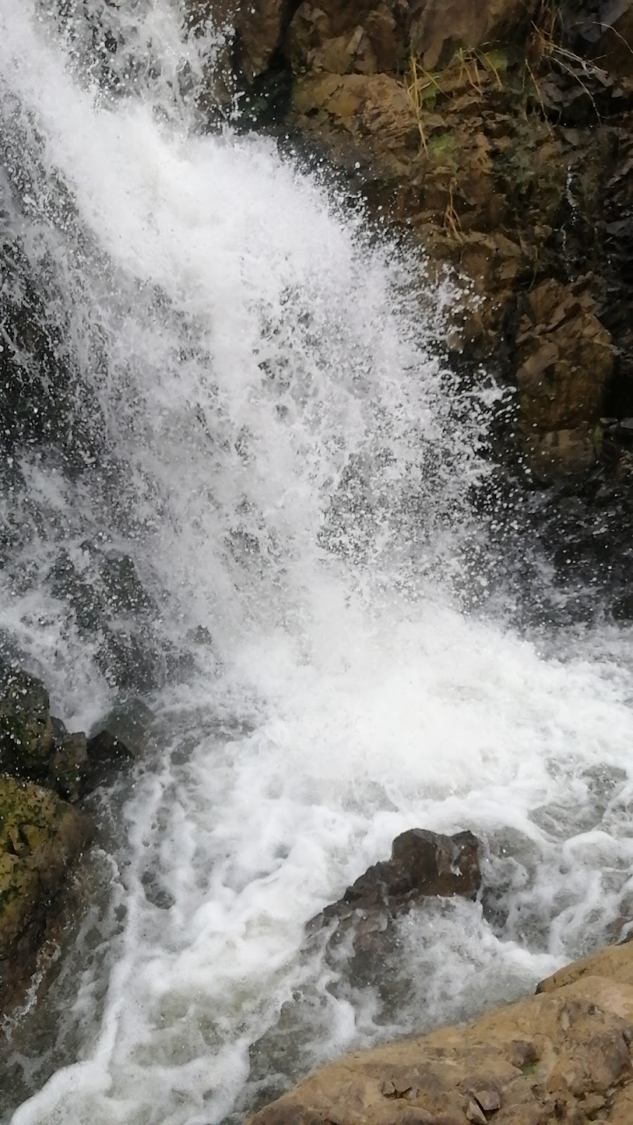 Village Walks Around Rayachoti