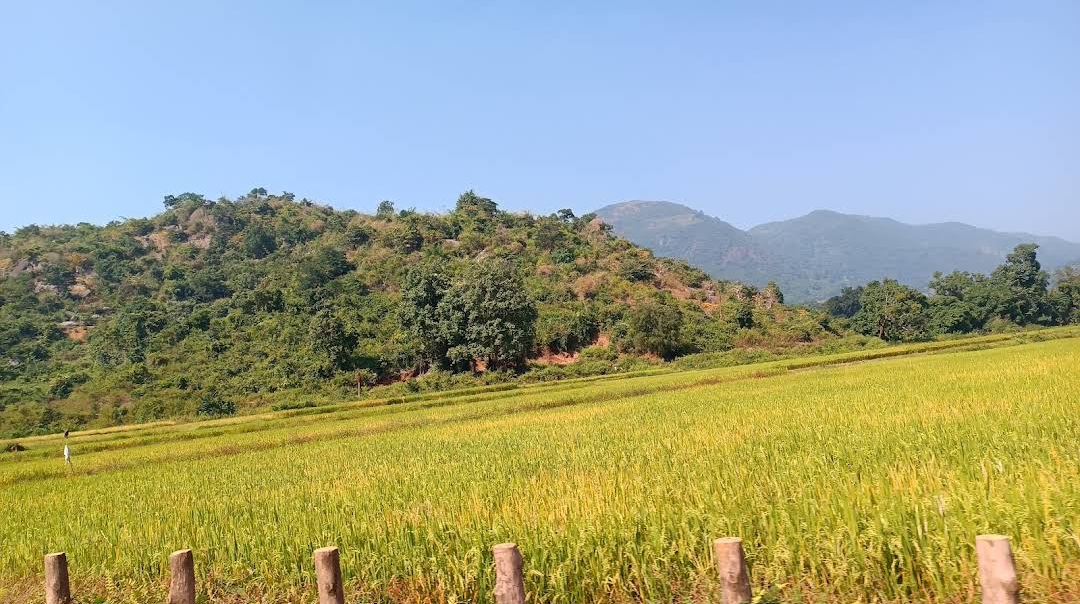 Rayagada - Explore the Beauty of Odisha