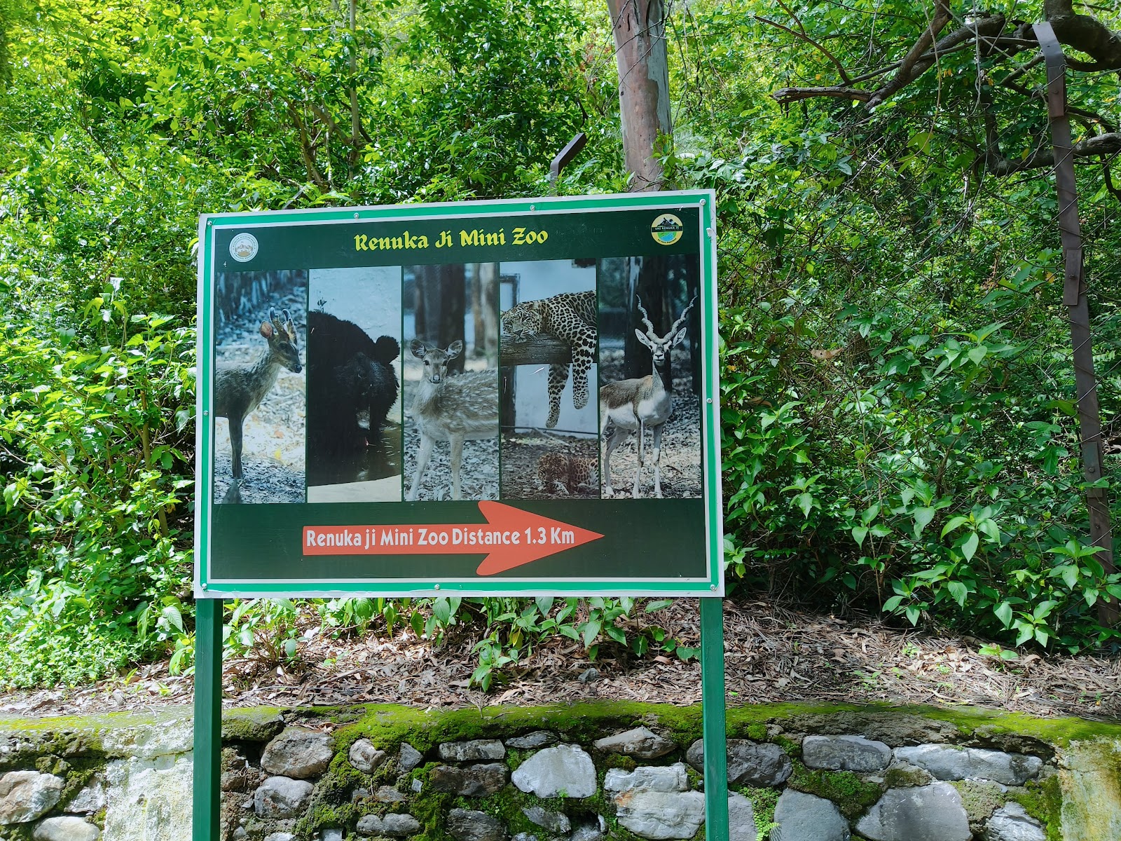 Forest Interpretation Center