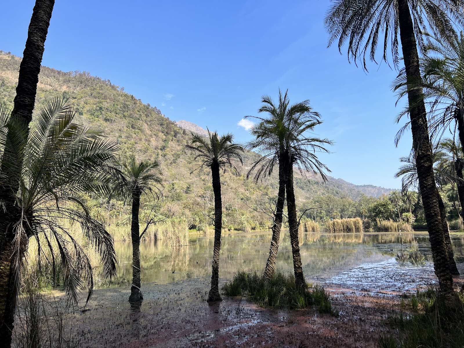 Renuka Wildlife Sanctuary