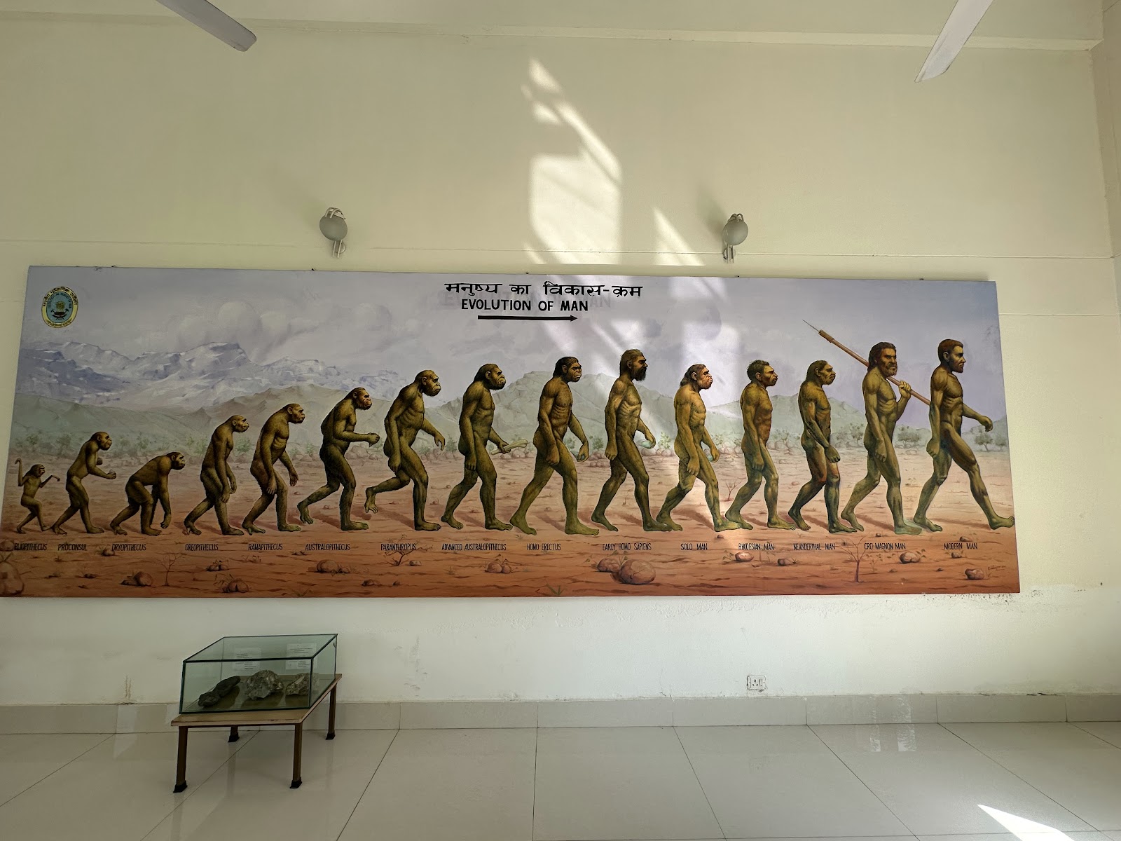 Siwalik Fossil Park, Suketi