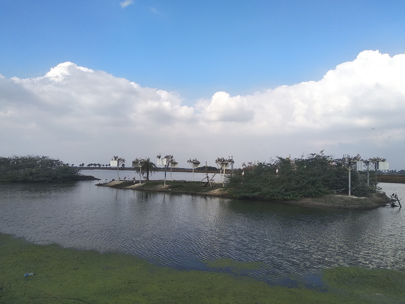 Kolleru Lake