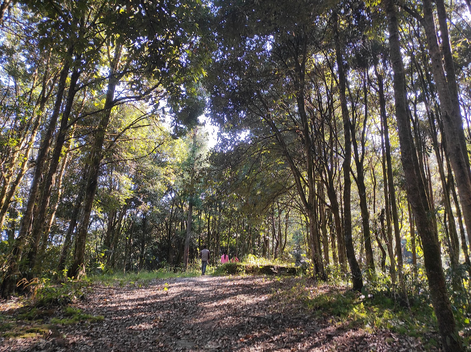 Poison Lake (Khecheopalri Lake)