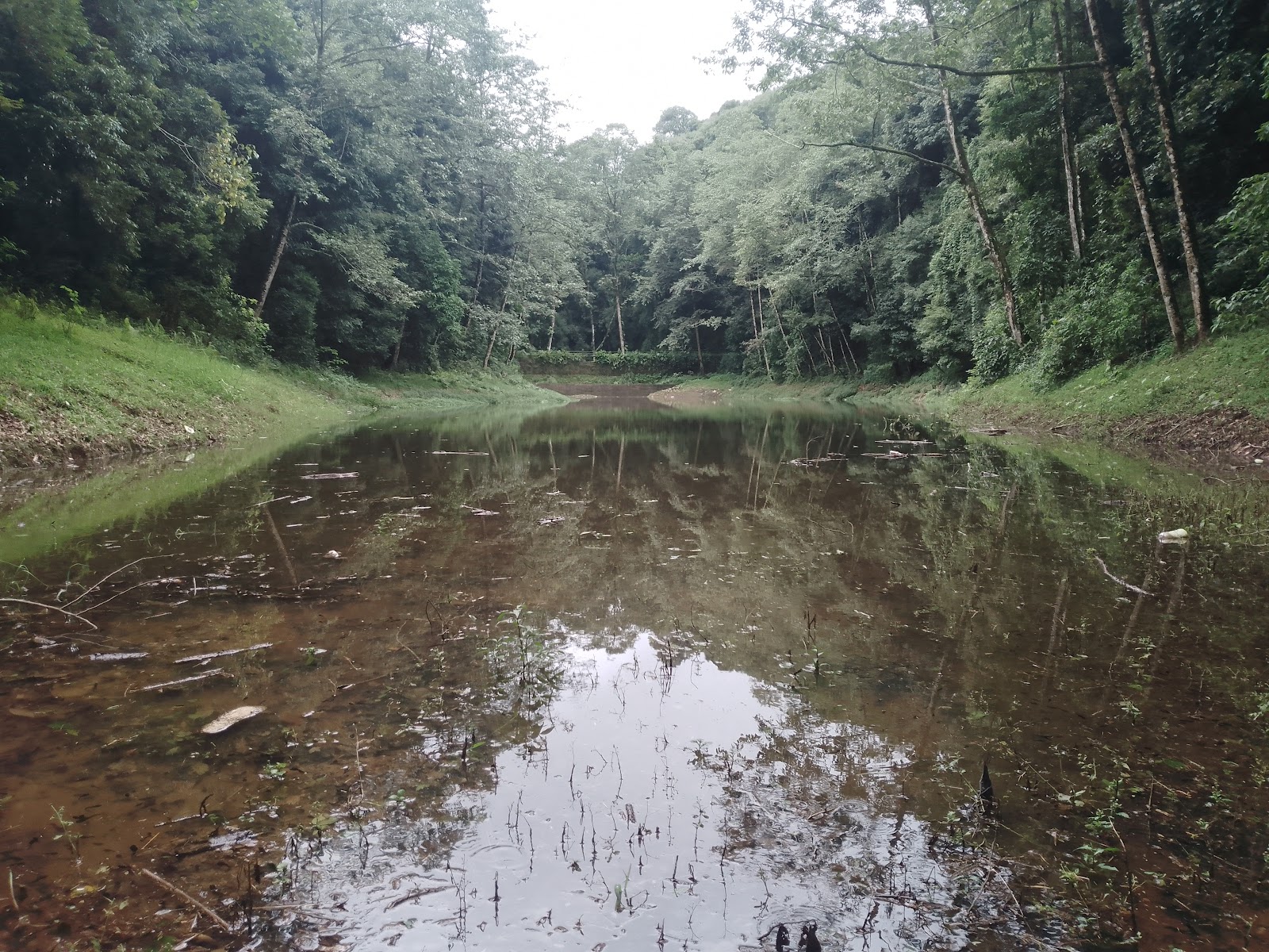 Poison Lake (Khecheopalri Lake)