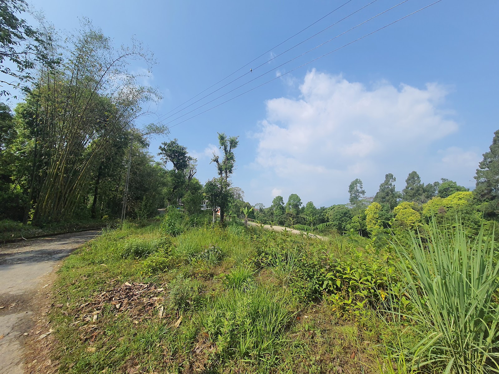 Poison Lake (Khecheopalri Lake)