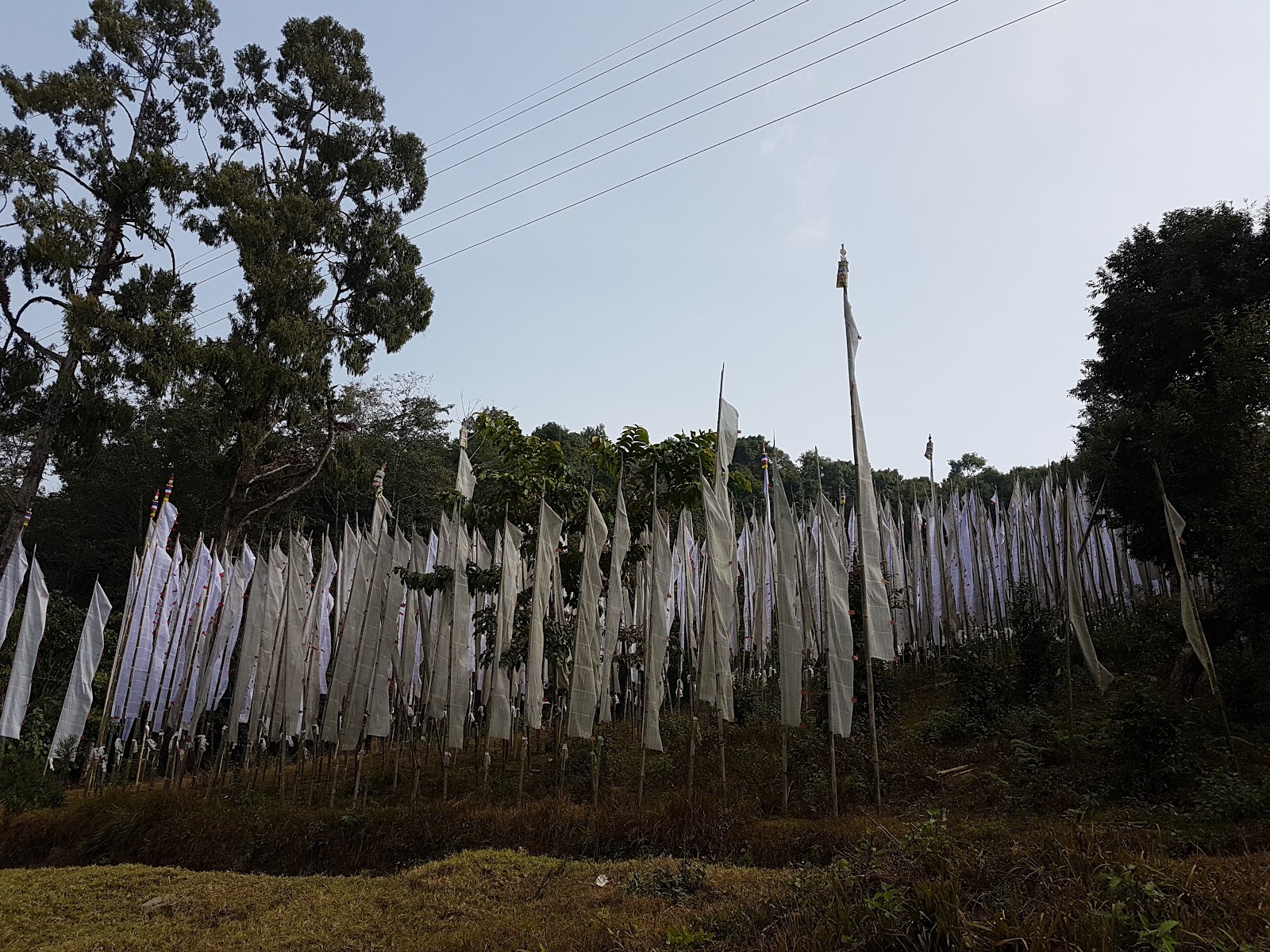 Rinchenpong Monastery