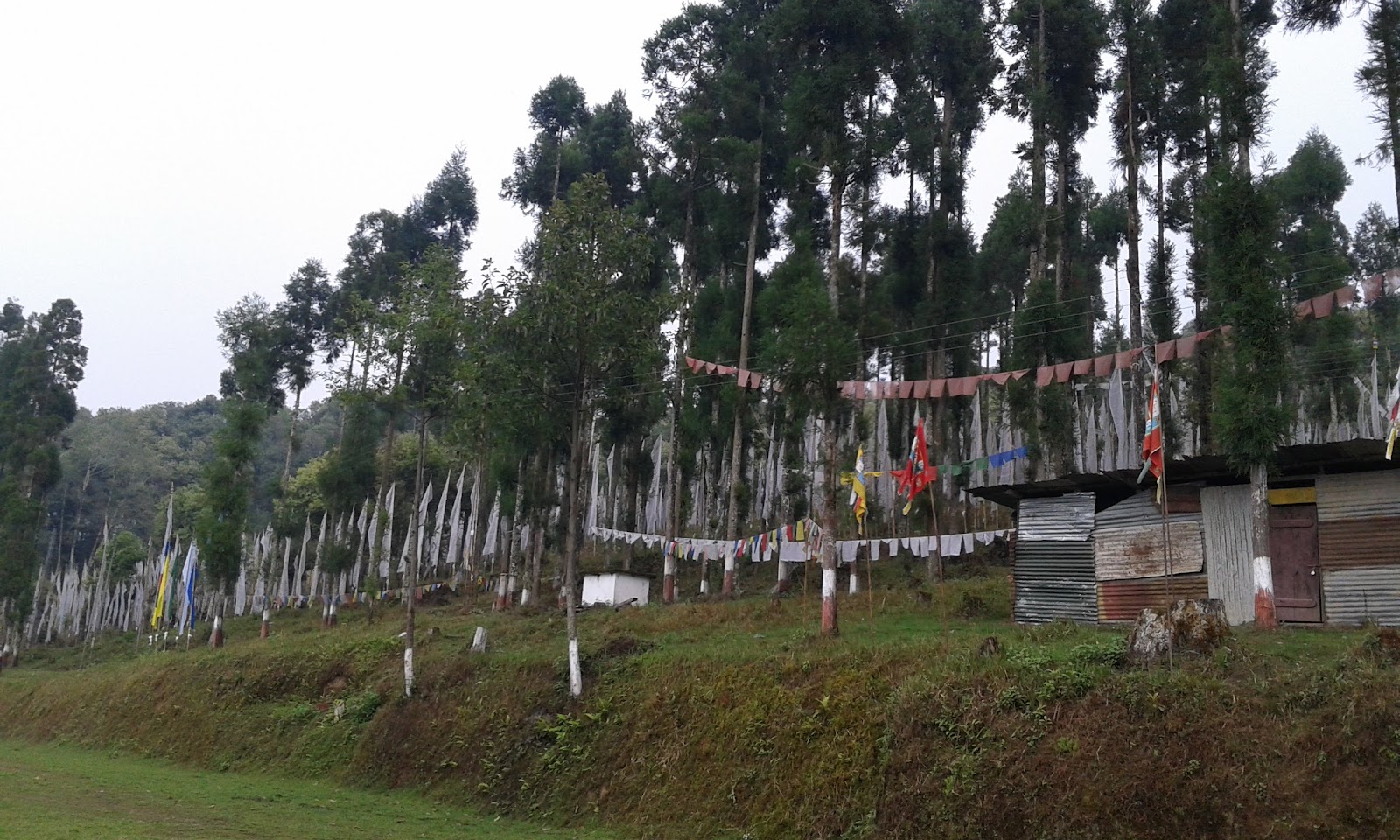 Rinchenpong Monastery