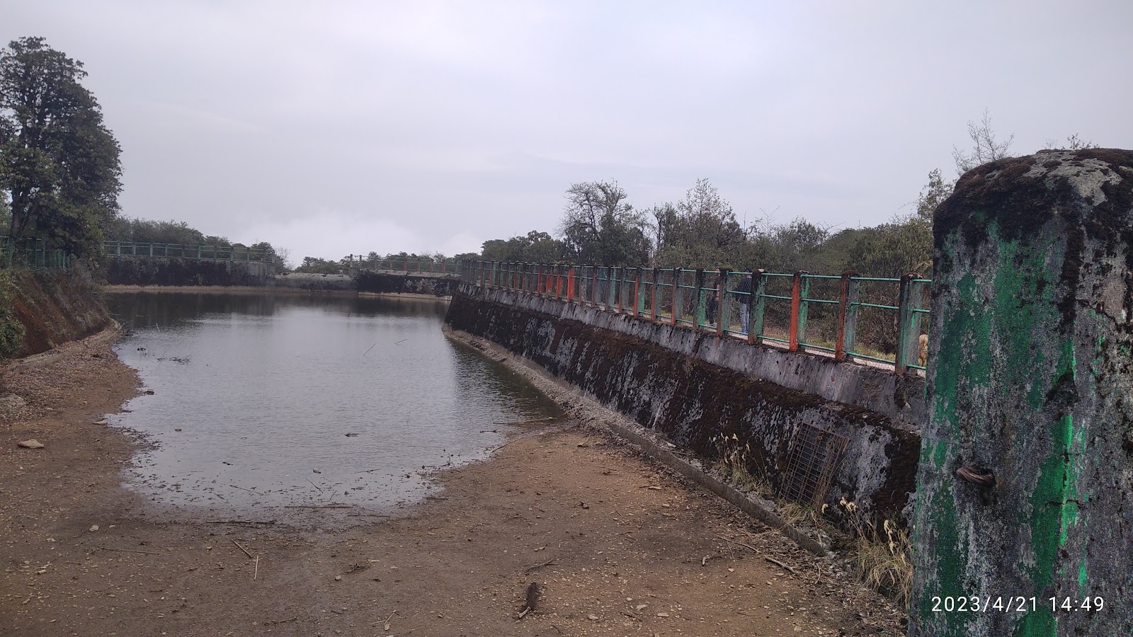 Varsey Rhododendron Sanctuary
