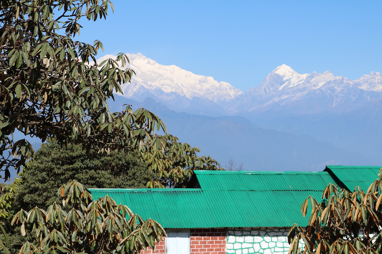 Varsey Rhododendron Sanctuary