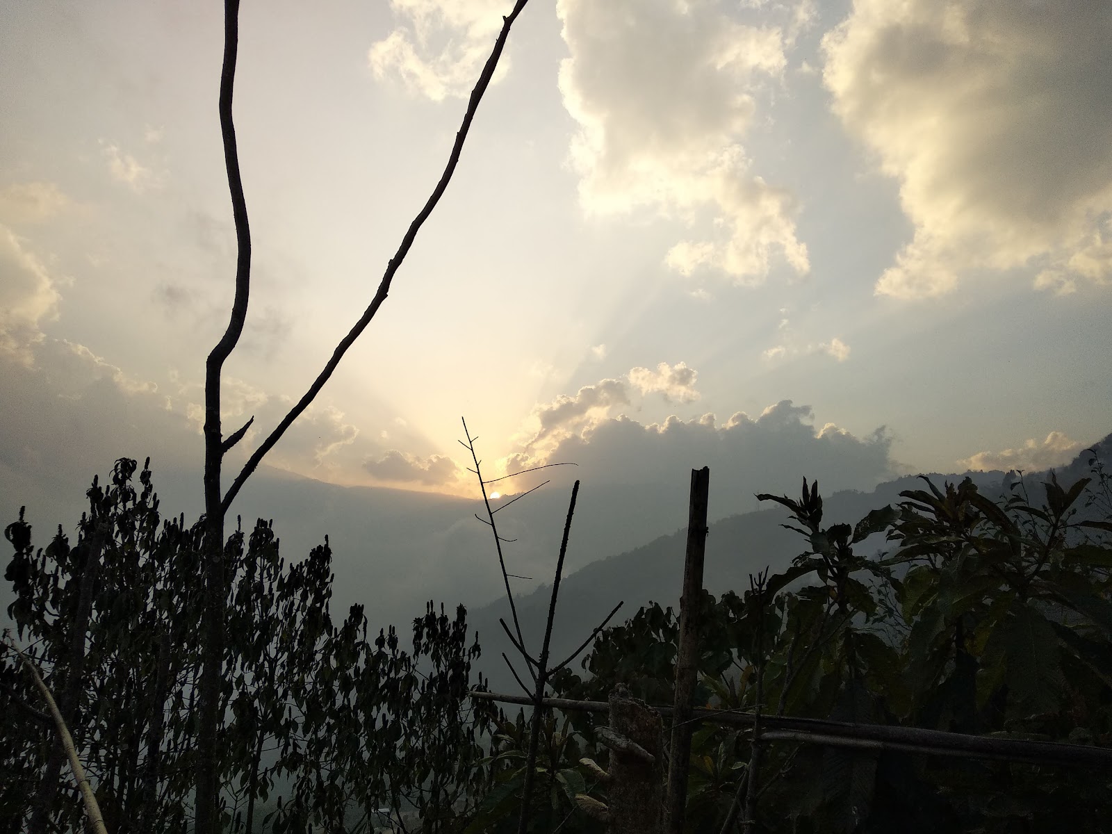 Varsey Rhododendron Sanctuary