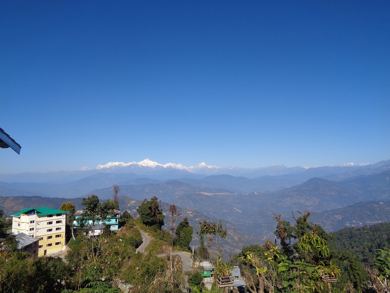 Rishop, West Bengal: Serene Himalayan Village, Travel Guide & Things to Do