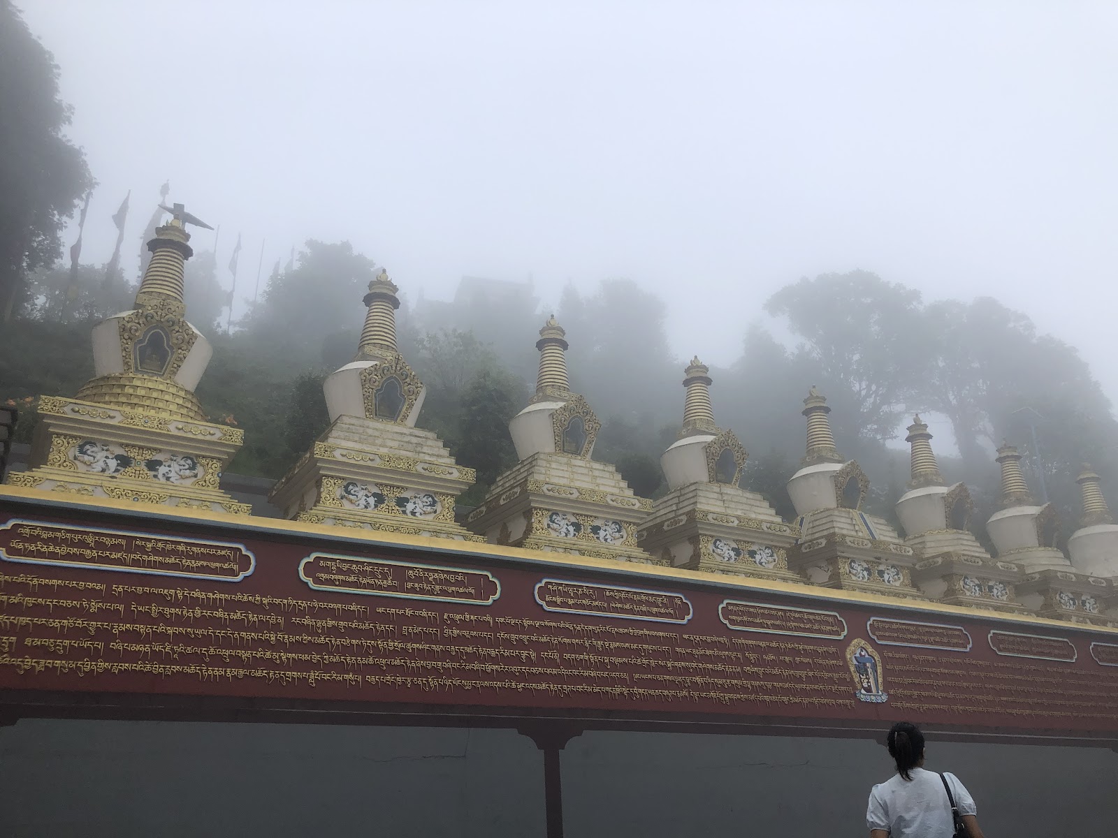 Neora Valley National Park