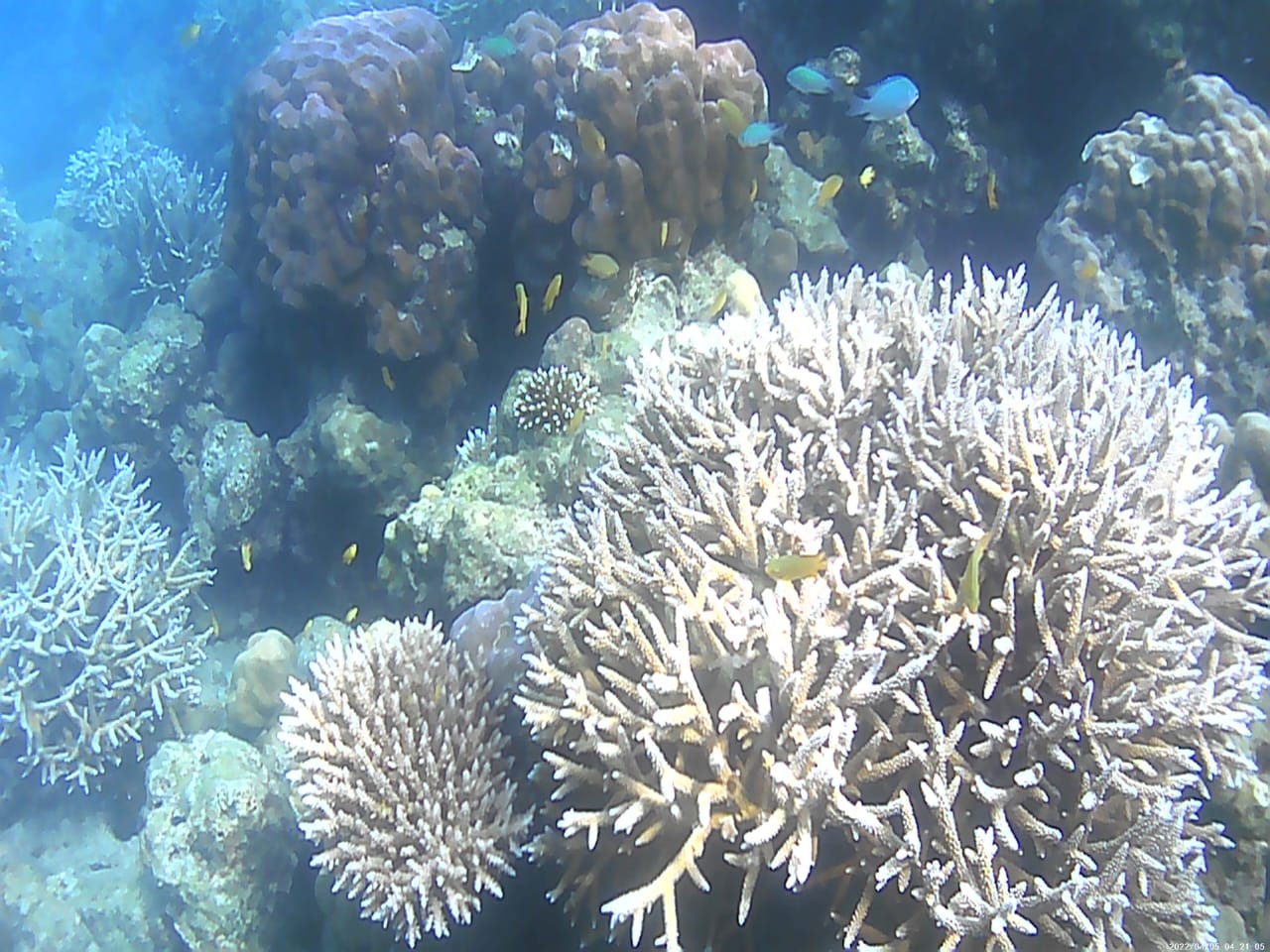 Ritchie's Archipelago - Andaman and Nicobar Islands