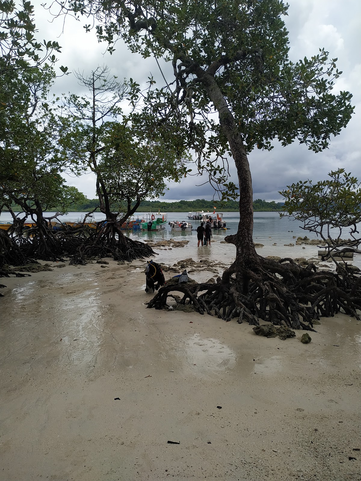Neil Island Natural Rock Formation