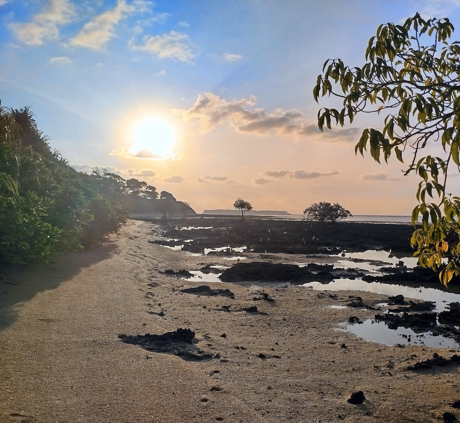 Neil Island Natural Rock Formation